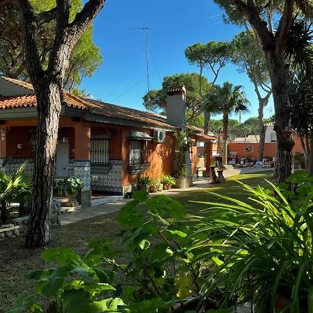 Chalet Los Pinos Con Piscina Privada Novo Sancti Petri Exterior foto